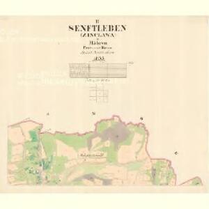 Senftleben (Zinclawa) - m3649-1-002 - Kaiserpflichtexemplar der Landkarten des stabilen Katasters