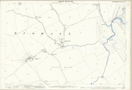 Northumberland (Old Series) XXII.10 (includes: Brunton; Newton By The Sea; Tughall) - 25 Inch Map