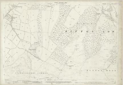 Yorkshire XVII.14 (includes: Great Ayton; Hutton Lowcross; Newton; Pinchinthorpe) - 25 Inch Map