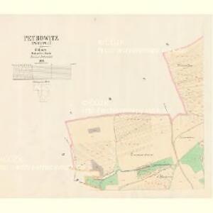 Petrowitz (Petrowic) - c5733-1-001 - Kaiserpflichtexemplar der Landkarten des stabilen Katasters