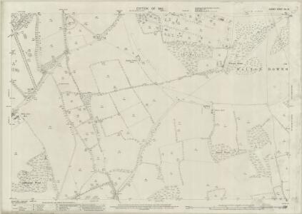 Surrey XIX.13 (includes: Ashtead; Epsom; Walton on The Hill) - 25 Inch Map
