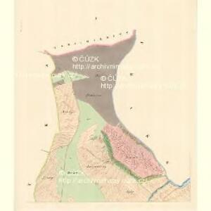 Drslawitz (Drslawice) - m0584-1-001 - Kaiserpflichtexemplar der Landkarten des stabilen Katasters