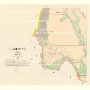 Brzezina - c0578-1-002 - Kaiserpflichtexemplar der Landkarten des stabilen Katasters