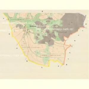 Millikau - m1798-1-002 - Kaiserpflichtexemplar der Landkarten des stabilen Katasters