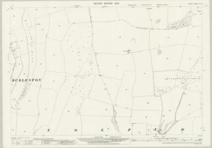 Dorset XLI.3 (includes: Burleston; Dewlish; Milborne; Tolpuddle) - 25 Inch Map