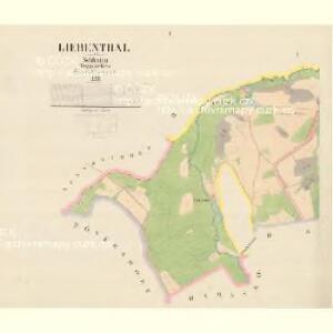Liebenthal - m1578-1-001 - Kaiserpflichtexemplar der Landkarten des stabilen Katasters