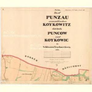 Punzau - m0394-1-001 - Kaiserpflichtexemplar der Landkarten des stabilen Katasters