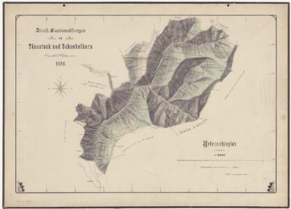 Wald, Fischenthal, Goldingen SG: Waldungen: Wald, Fischenthal: Staatswaldungen an Tössstock und Schnebelhorn im Jahr 1908; Übersichtsplan