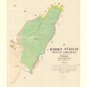 Türnau (Tarnawka) - m1769-1-003 - Kaiserpflichtexemplar der Landkarten des stabilen Katasters