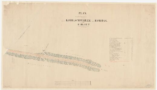 Rorbas: Projektierte Strasse von Ebnet bis zur Stadtwaldung; Situationsplan (Blatt II)