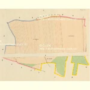 Dwory - c1632-1-001 - Kaiserpflichtexemplar der Landkarten des stabilen Katasters