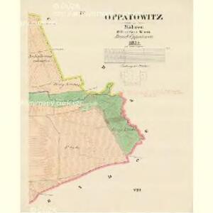 Oppatowitz - m3328-1-004 - Kaiserpflichtexemplar der Landkarten des stabilen Katasters