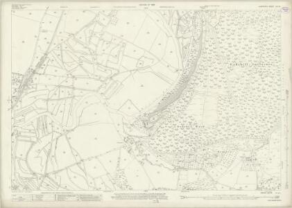 Hampshire and Isle of Wight LIV.16 (includes: Breamore; Fordingbridge; Woodgreen) - 25 Inch Map