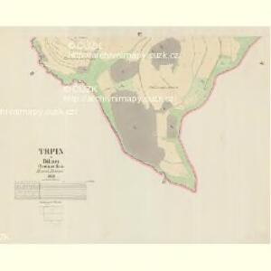 Trpin - c7991-1-006 - Kaiserpflichtexemplar der Landkarten des stabilen Katasters