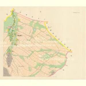 Türpes (Trpik) - c7990-1-002 - Kaiserpflichtexemplar der Landkarten des stabilen Katasters