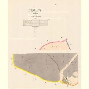 Praschin - c9192-1-001 - Kaiserpflichtexemplar der Landkarten des stabilen Katasters