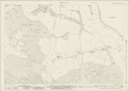 Hampshire and Isle of Wight XXXVI.12 (includes: Frensham; Headley) - 25 Inch Map