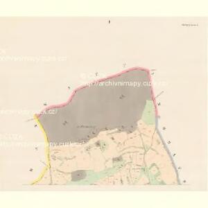 Skaupy - c6951-1-001 - Kaiserpflichtexemplar der Landkarten des stabilen Katasters