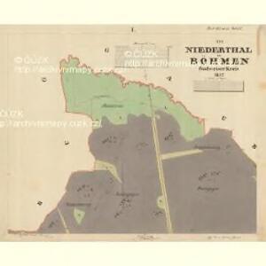 Niederthal - c8168-1-004 - Kaiserpflichtexemplar der Landkarten des stabilen Katasters