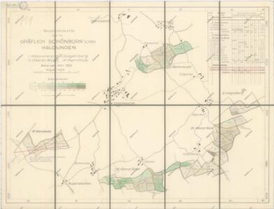 Porostní mapa lesního majetku statku Oberstadion