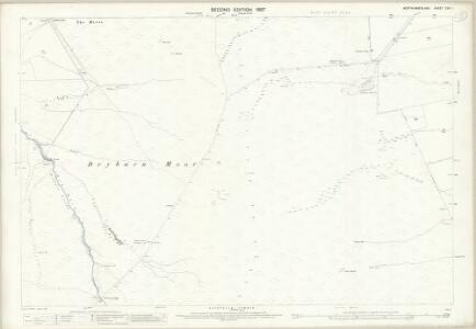 Northumberland (Old Series) CVII.1 (includes: Allendale Common; Allendale; West Allen) - 25 Inch Map