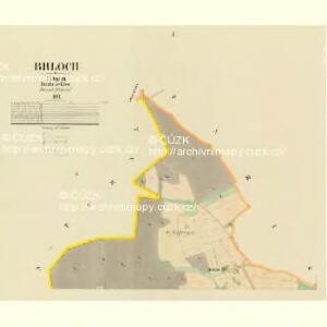 Brloch - c0500-1-001 - Kaiserpflichtexemplar der Landkarten des stabilen Katasters