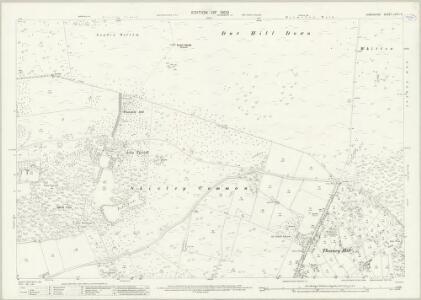 Hampshire and Isle of Wight LXXIX.5 (includes: Burley; Christchurch East; Ringwood; Sopley) - 25 Inch Map