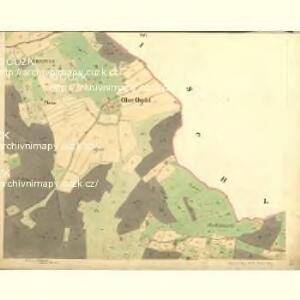 Wörles - c5559-1-002 - Kaiserpflichtexemplar der Landkarten des stabilen Katasters