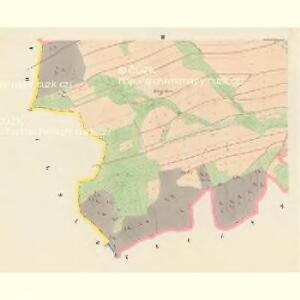 Bishradetz (Bishradec) - c0728-1-003 - Kaiserpflichtexemplar der Landkarten des stabilen Katasters