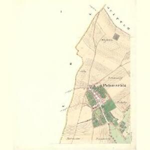 Pohorželitz - m2341-1-001 - Kaiserpflichtexemplar der Landkarten des stabilen Katasters