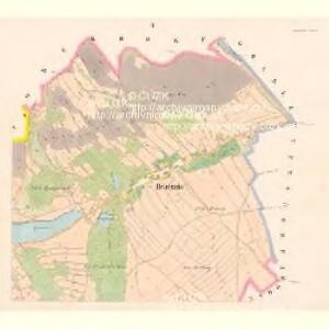 Bettelgrün - c2675-1-002 - Kaiserpflichtexemplar der Landkarten des stabilen Katasters