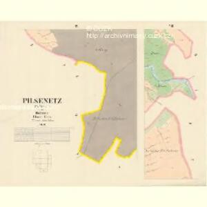 Pilsenetz (Plženec) - c7307-1-007 - Kaiserpflichtexemplar der Landkarten des stabilen Katasters