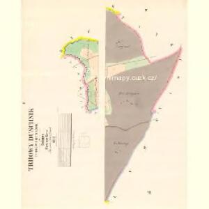 Trhowy Duschnik (Trhowj Dussnjk) - c7962-1-001 - Kaiserpflichtexemplar der Landkarten des stabilen Katasters