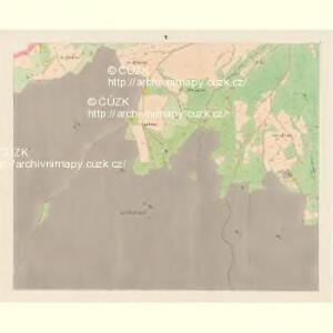 Gross Zdikau (Welky Zdikow) - c9228-1-004 - Kaiserpflichtexemplar der Landkarten des stabilen Katasters