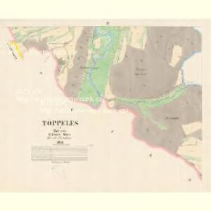Töppeles - c7862-1-002 - Kaiserpflichtexemplar der Landkarten des stabilen Katasters