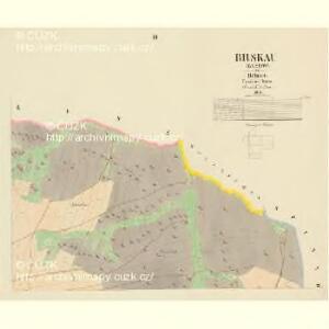 Brskau (Brskow) - c0545-1-003 - Kaiserpflichtexemplar der Landkarten des stabilen Katasters