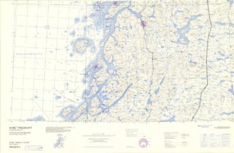 Statistikk 43-19- Bosettingskart over Mosjøen. Blad 19