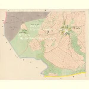 Nehodiw - c5008-1-002 - Kaiserpflichtexemplar der Landkarten des stabilen Katasters