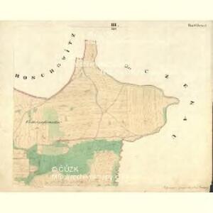 Saborz - c9010-1-003 - Kaiserpflichtexemplar der Landkarten des stabilen Katasters