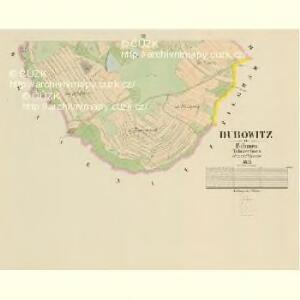 Dubowitz - c1602-1-003 - Kaiserpflichtexemplar der Landkarten des stabilen Katasters