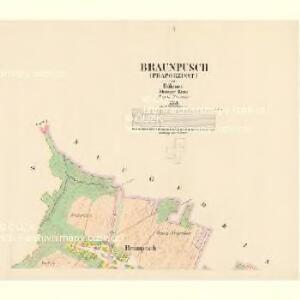 Braunpusch (Praporzisst) - c6083-1-001 - Kaiserpflichtexemplar der Landkarten des stabilen Katasters