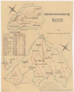Buchs: Gemeindewaldung: Berg und Chrästel (Im Krestel); Übersichtsplan