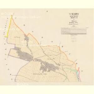 Turzitz - c8127-1-001 - Kaiserpflichtexemplar der Landkarten des stabilen Katasters