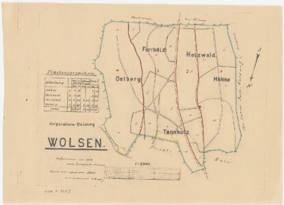 Obfelden: Genossenschaftswaldung Wolsen: Hönen (Höhne), Holzweid, Forhölzli, Ölberg; Grundriss