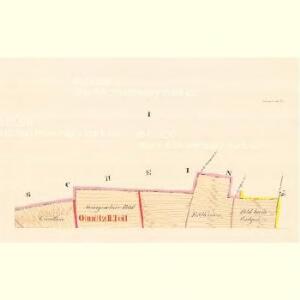 Neretein (Herzedin) - m1961-1-001 - Kaiserpflichtexemplar der Landkarten des stabilen Katasters