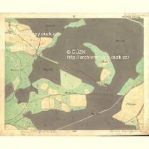 Sarrau - c3772-1-005 - Kaiserpflichtexemplar der Landkarten des stabilen Katasters