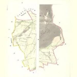 Wilkau - c8702-1-001 - Kaiserpflichtexemplar der Landkarten des stabilen Katasters