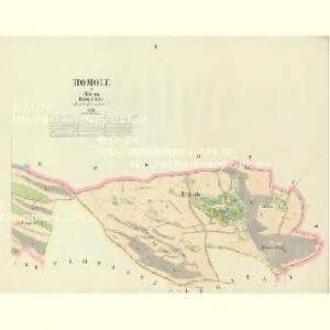 Homole - c1985-1-002 - Kaiserpflichtexemplar der Landkarten des stabilen Katasters