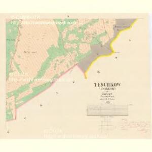 Teschkow (Tesskow) - c7894-1-008 - Kaiserpflichtexemplar der Landkarten des stabilen Katasters