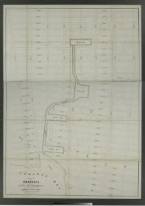 Plan for the drainage of that part of the city of Brooklyn which empties its water into Gowanus Creek & Bay / by Daniel Richards, Oct. 1848 ; Willard Day, city surveyor.